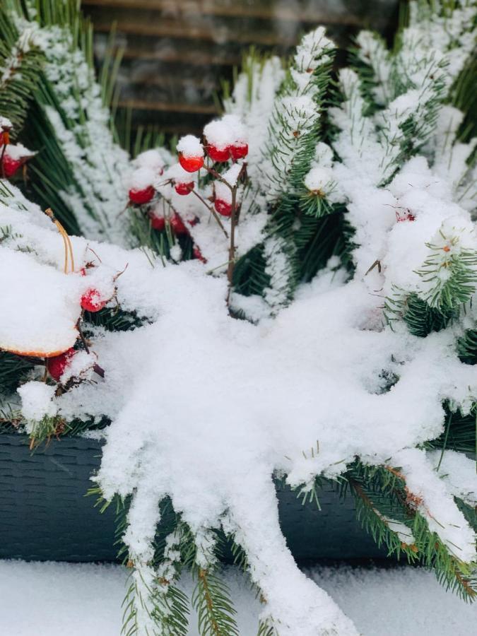 Appartamento U Macka Białka Esterno foto